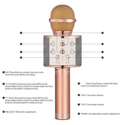 Microfone Karaoke Sem Fios WS-858