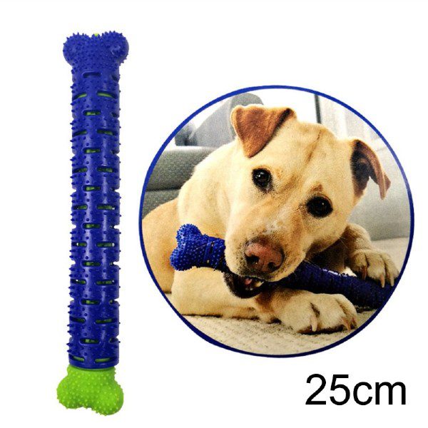 Brinquedo Escova Dentes Anti Tártaro para Cães