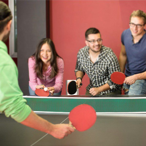 Conjunto Raquetes de Ping Pong e Rede