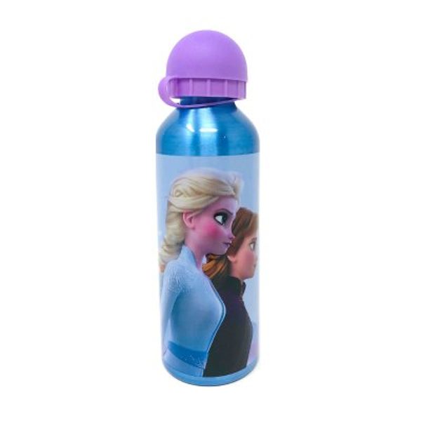 Garrafa de alumínio Frozen II 500ml