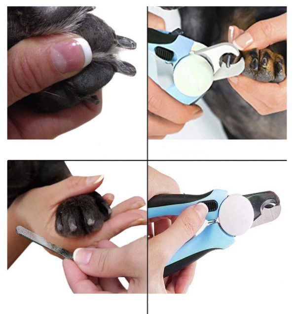 Cortador de Unhas com Lima para Animais de Estimação