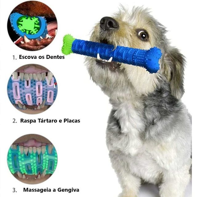 Brinquedo Escova Dentes Anti Tártaro para Cães