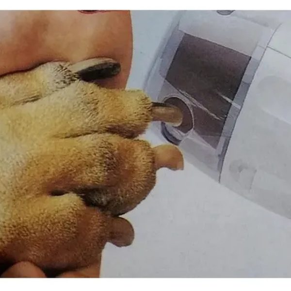 Lima de unhas elétrica cães e gatos